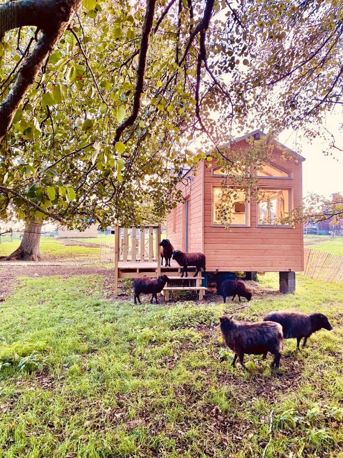 Villa Jolie Tiny House Sous Les Grands Arbres Cholet Exterior foto
