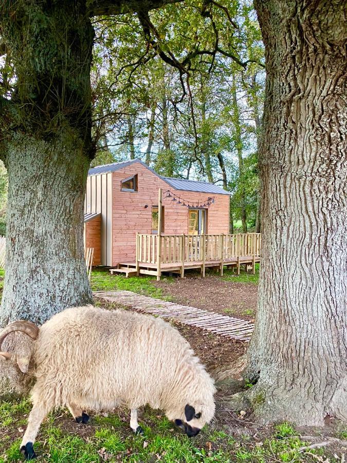 Villa Jolie Tiny House Sous Les Grands Arbres Cholet Exterior foto