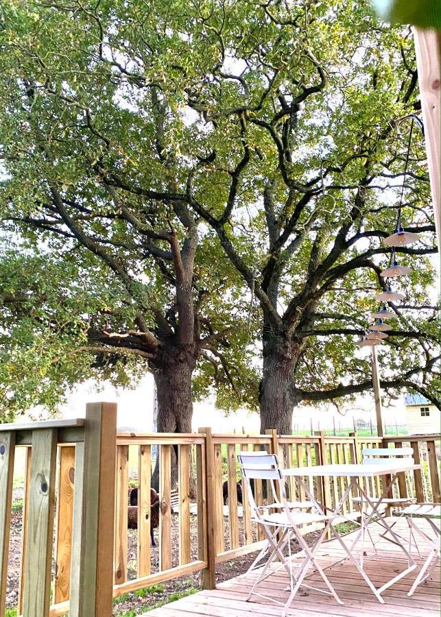 Villa Jolie Tiny House Sous Les Grands Arbres Cholet Exterior foto